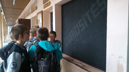 3 Octobre 2013 - La curiosité démange © Véronique BOURGOIN